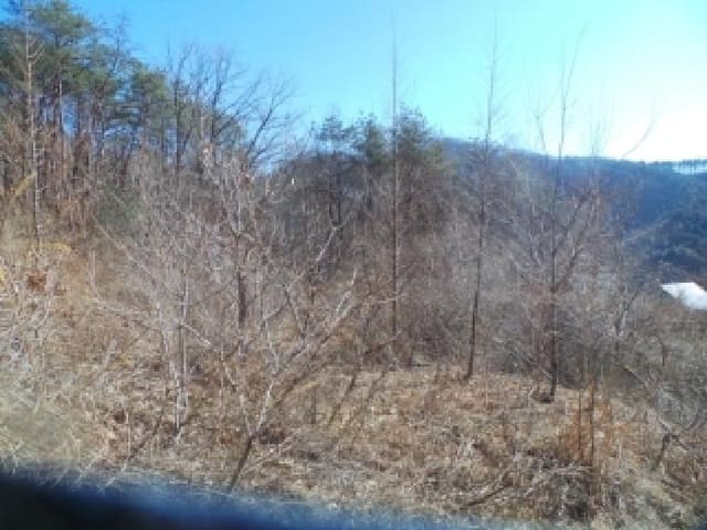 B000260202601300500163.jpg