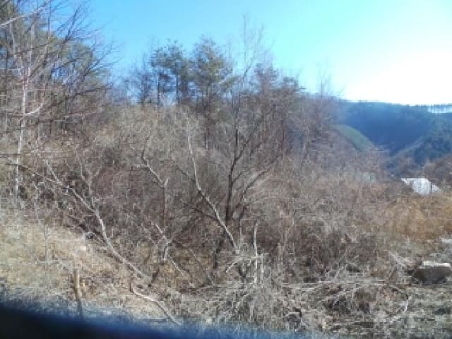 B000260202601300500164.jpg