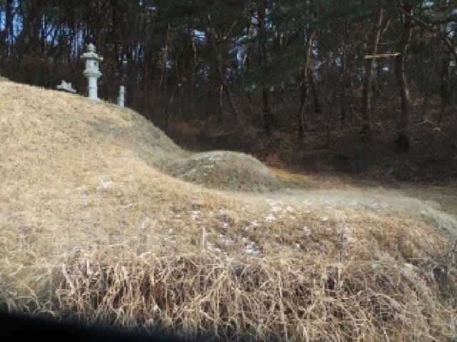 B0002602026013005002013.jpg
