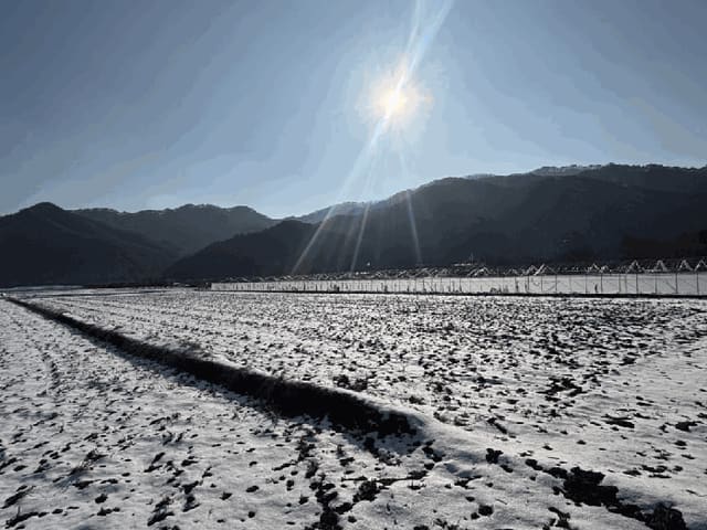 B000260202601300500434.jpg