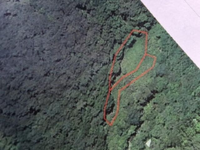 B000260202601300500481.jpg