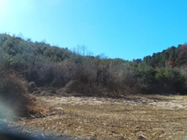 B000260202601300500554.jpg