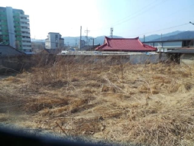 B0002602026013005007132.jpg