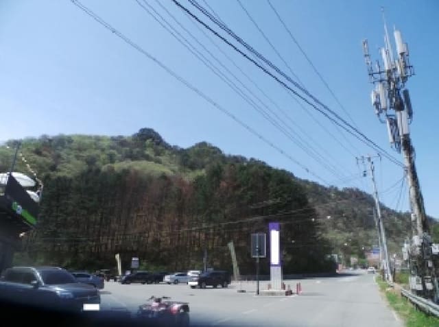 B000260202601300500902.jpg