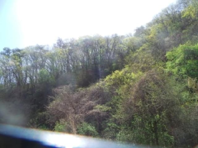 B000260202601300500904.jpg