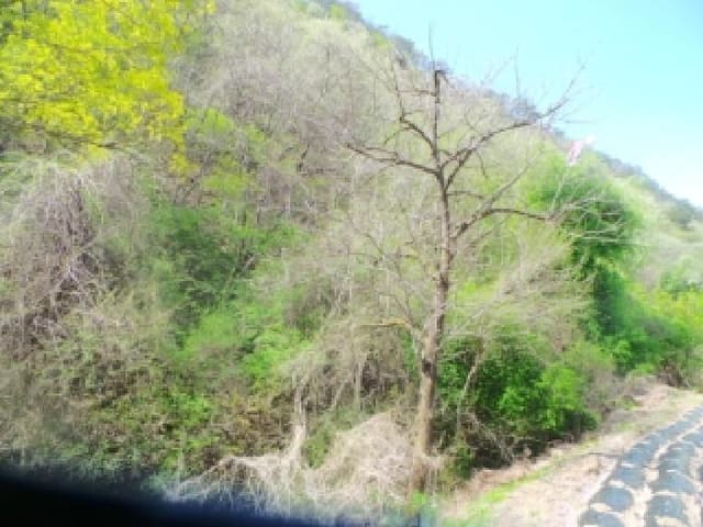 B000260202601300500903.jpg