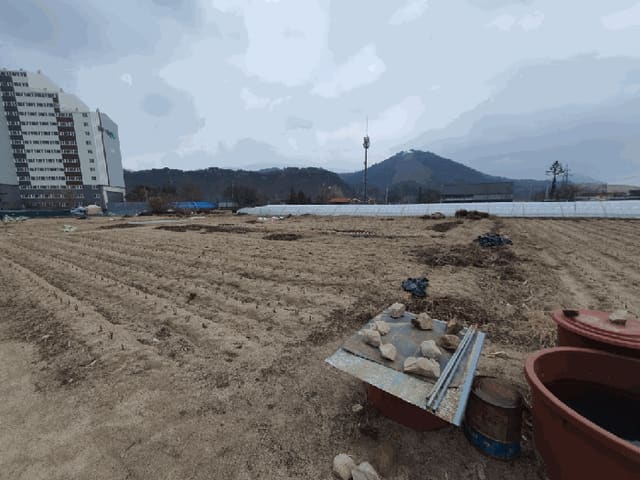 B000260202601300501002.jpg