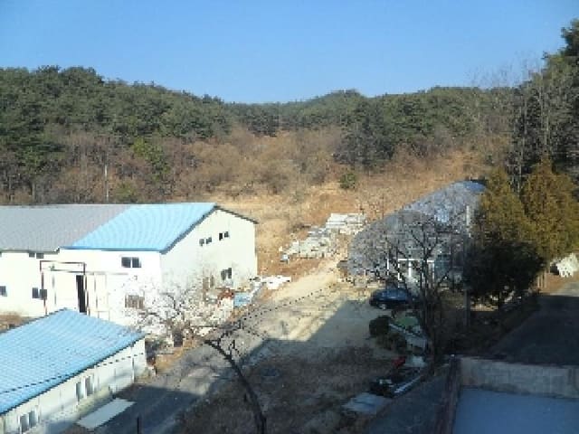 B000261202501300001354.jpg