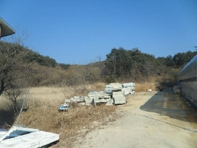 B000261202501300001353.jpg