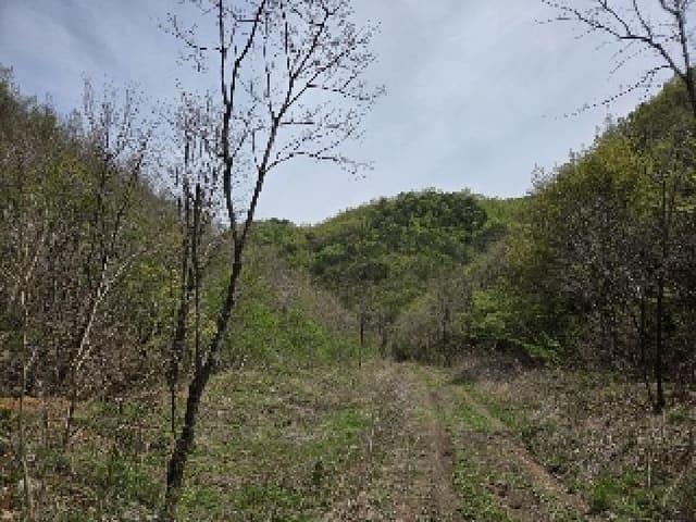 B000261202501300001961.jpg