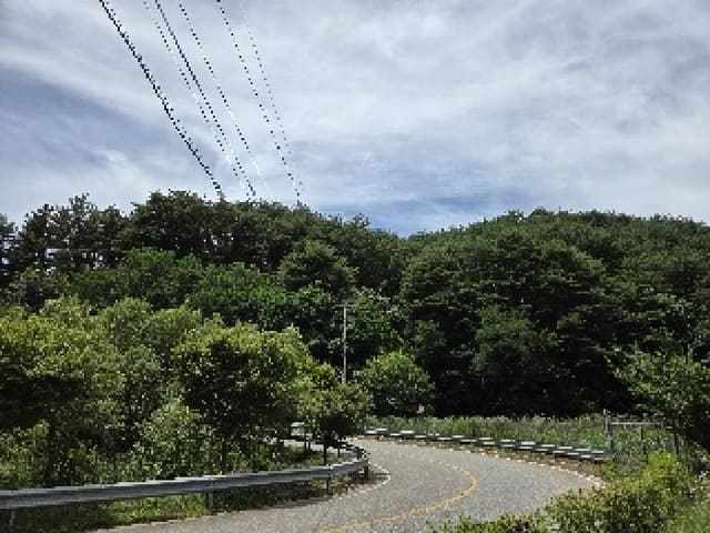 B000261202501300002291.jpg