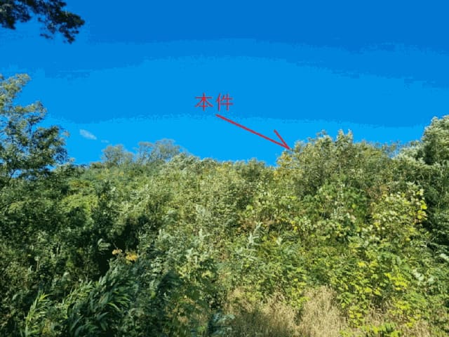 B000261202501300002724.jpg