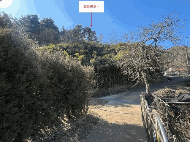 B000261202501300304443.jpg