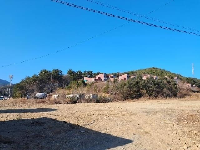 B000261202501300304481.jpg