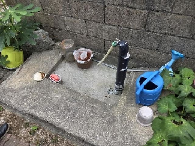 B000261202501300305811.jpg