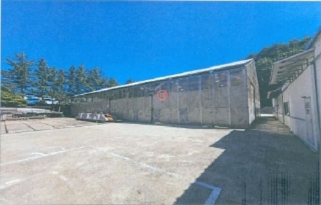B000261202501300306022.jpg