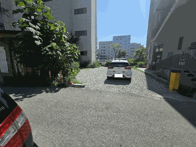 B000261202501300306444.jpg