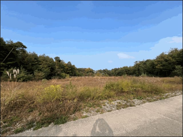 B000261202501300307544.jpg