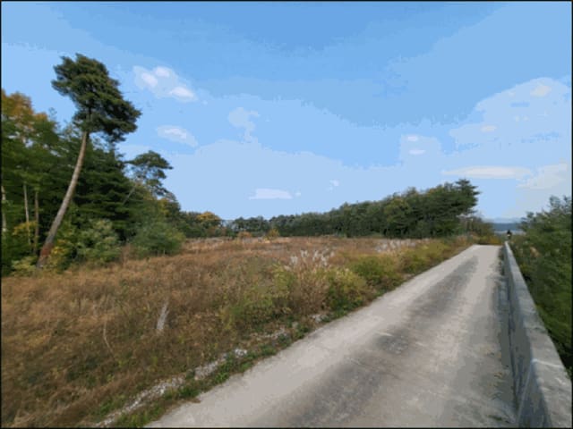 B000261202501300307543.jpg