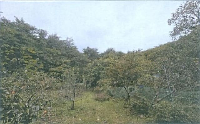 B000261202501300307623.jpg