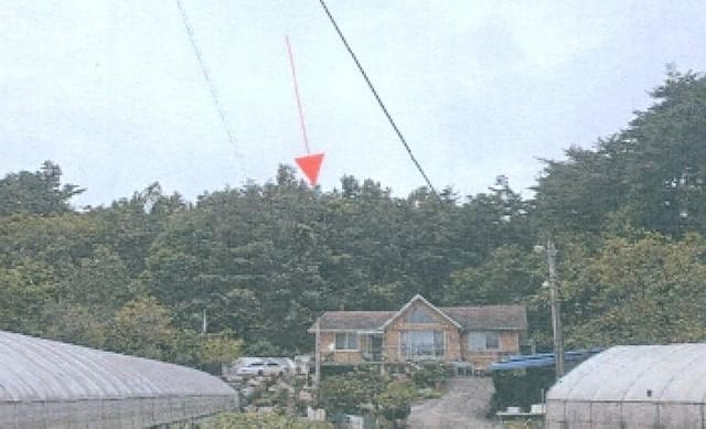 B000261202501300307622.jpg