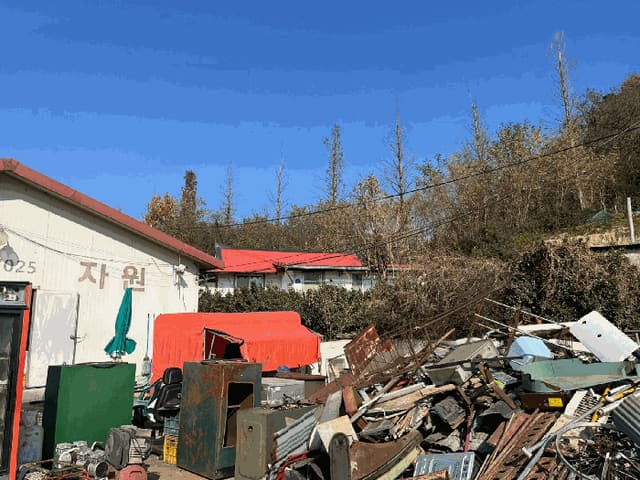 B000261202501300307894.jpg
