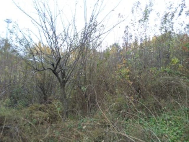 B000262202301303052044.jpg