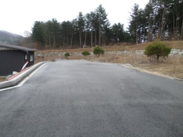 B000262202401300003154.jpg