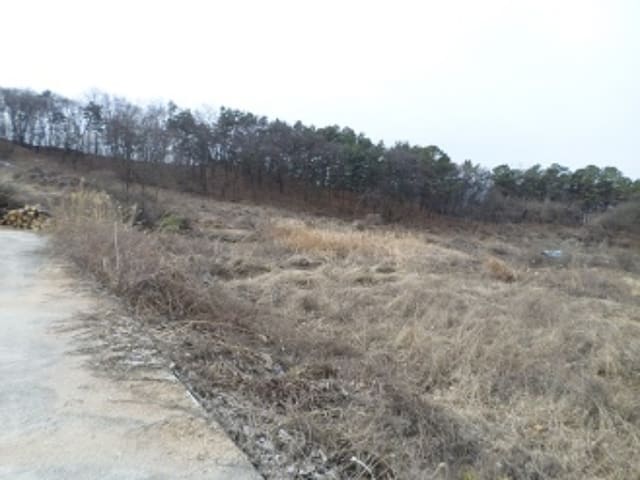 B000262202401300003464.jpg