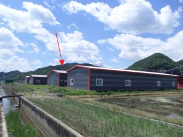 B000262202401300011031.jpg