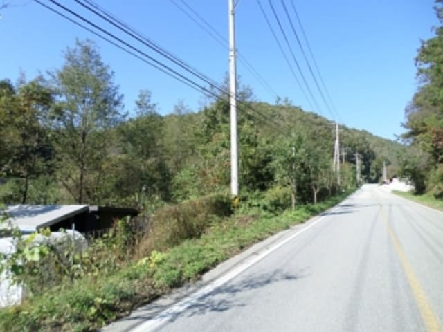B000262202401300028303.jpg