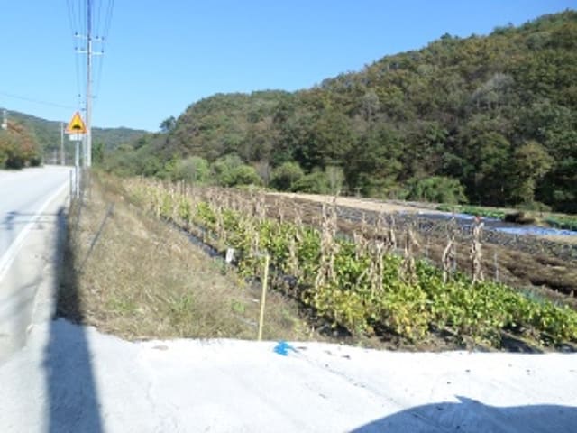 B000262202401300028301.jpg