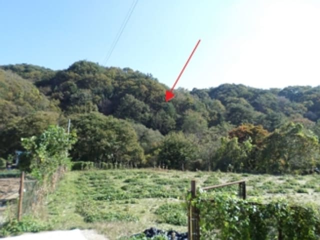 B000262202401300028302.jpg