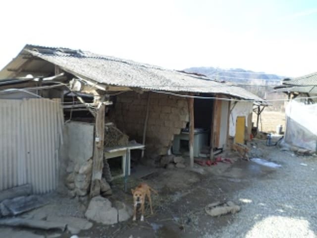 B000262202401304000214.jpg