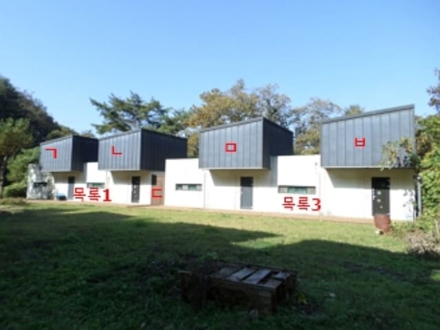 B000262202401304053472.jpg