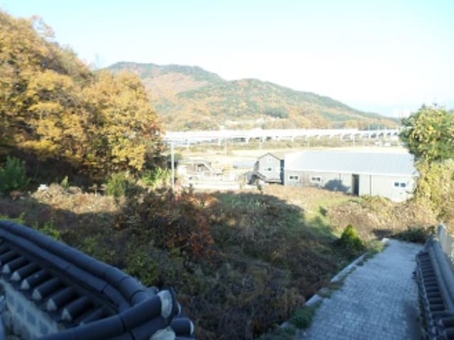 B000262202401304060431.jpg