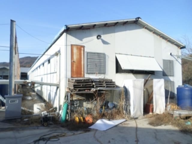 B0002622024013040652431.jpg