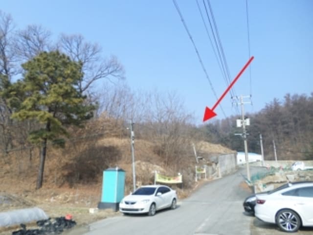 B000262202401304072443.jpg