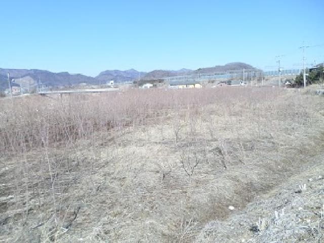 B000262202501300001692.jpg