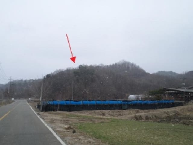 B000262202501300002064.jpg