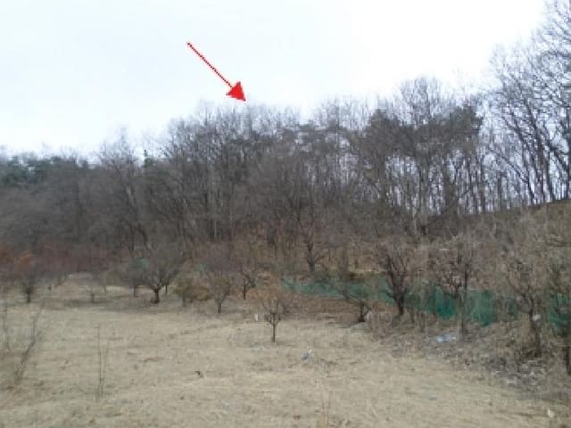 B000262202501300002062.jpg