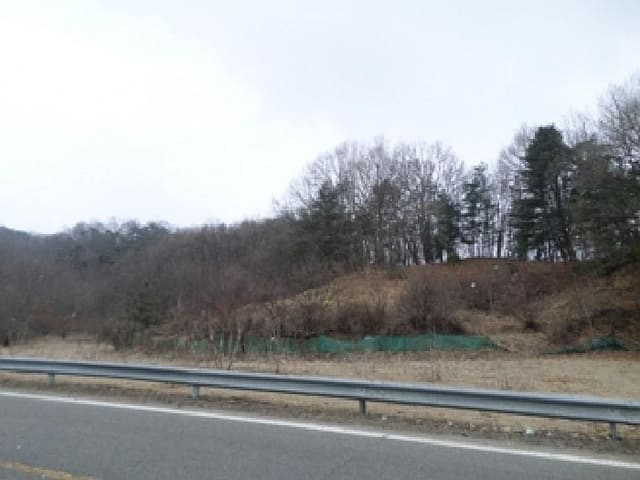B000262202501300002061.jpg
