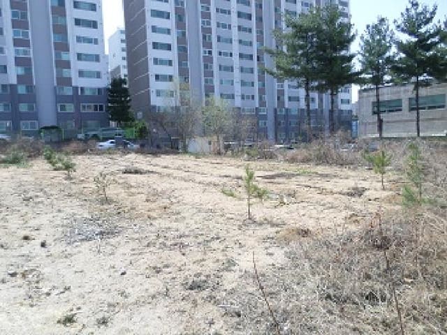 B000262202501300004421.jpg