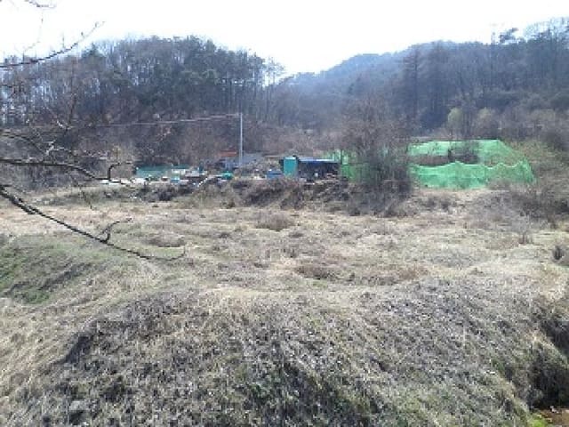 B000262202501300005341.jpg