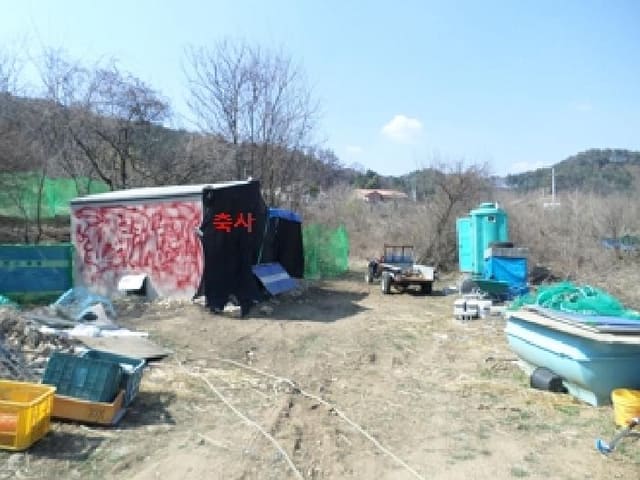 B000262202501300005342.jpg