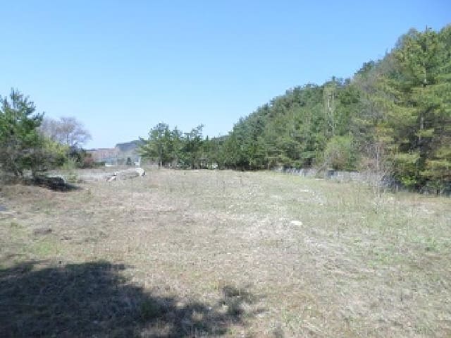 B000262202501300006403.jpg
