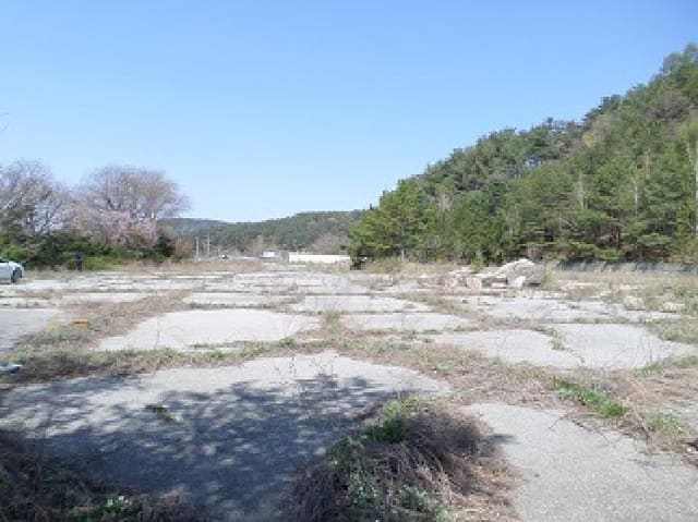 B000262202501300006402.jpg