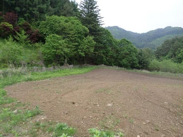 B000262202501300006882.jpg