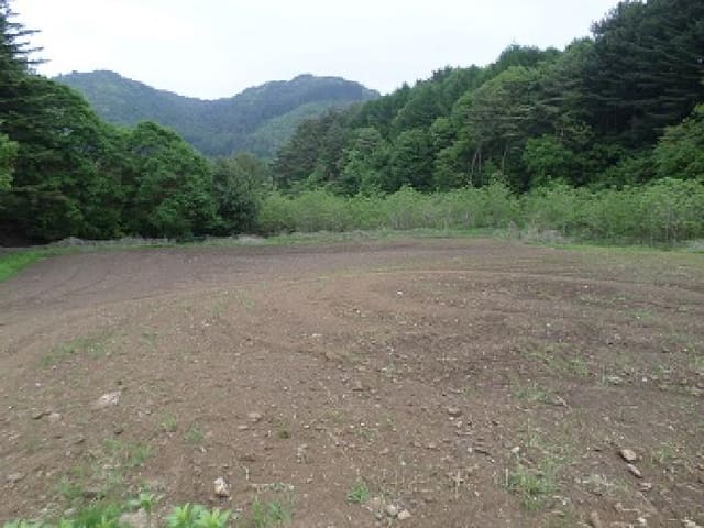 B000262202501300006881.jpg
