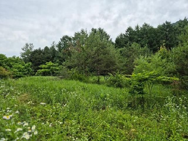 B000262202501300006951.jpg